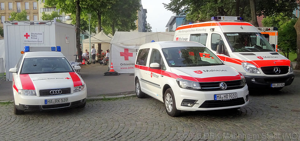 Der erste Teil des Fuhrparks Der erste Teil des Fuhrparks